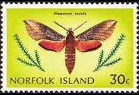 Norfolk 1976 - serie Farfalle: 30 c