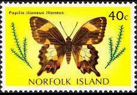 Norfolk 1976 - serie Farfalle: 40 c