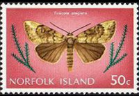 Norfolk 1976 - serie Farfalle: 50 c