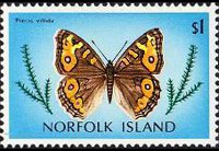 Norfolk 1976 - serie Farfalle: 1 $