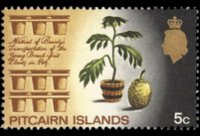 Pitcairn Islands 1969 - set Various subjects: 5 c