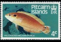 Pitcairn Islands 1984 - set Fishes: 4 c