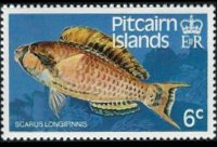 Pitcairn Islands 1984 - set Fishes: 6 c