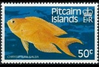 Pitcairn Islands 1984 - set Fishes: 50 c