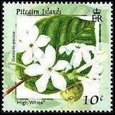Pitcairn Islands 2000 - set Flowers: 10 c