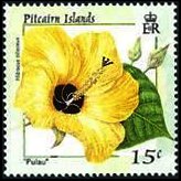 Pitcairn Islands 2000 - set Flowers: 15 c