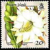 Pitcairn Islands 2000 - set Flowers: 20 c