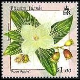 Pitcairn Islands 2000 - set Flowers: 1 $
