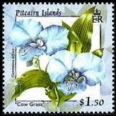 Pitcairn Islands 2000 - set Flowers: 1,50 $