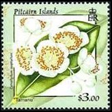 Pitcairn Islands 2000 - set Flowers: 3 $
