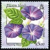 Pitcairn Islands 2000 - set Flowers: 5 $