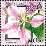 Pitcairn Islands 2000 - set Flowers: 10 $