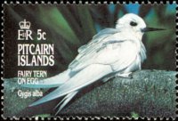 Pitcairn Islands 1995 - set Birds: 5 c