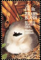 Pitcairn Islands 1995 - set Birds: 10 c