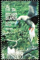 Pitcairn Islands 1995 - set Birds: 20 c