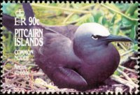 Pitcairn Islands 1995 - set Birds: 90 c