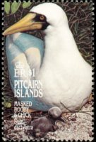 Pitcairn Islands 1995 - set Birds: 1 $