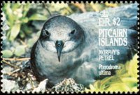 Pitcairn Islands 1995 - set Birds: 2 $