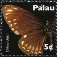 Palau 2007 - set Butterflies: 5 c