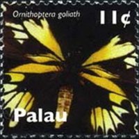 Palau 2007 - set Butterflies: 11 c