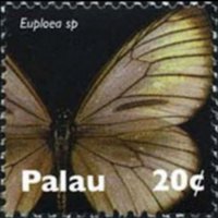 Palau 2007 - serie Farfalle: 20 c