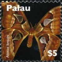 Palau 2007 - serie Farfalle: 5 $