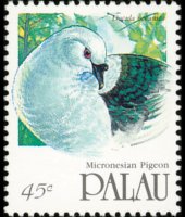 Palau 1991 - serie Uccelli: 45 c