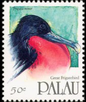 Palau 1991 - serie Uccelli: 50 c