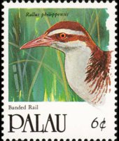 Palau 1991 - serie Uccelli: 6 c