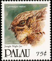 Palau 1991 - serie Uccelli: 75 c