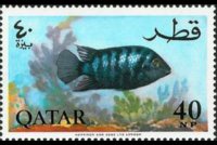 Qatar 1965 - set Fish: 40 np