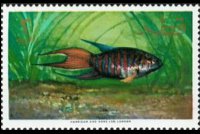Qatar 1965 - set Fish: 3 r