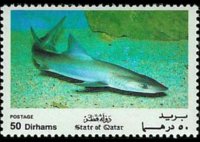 Qatar 1991 - set Fish: 50 d