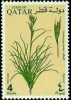 Qatar 1991 - set Desert plants: 4 r