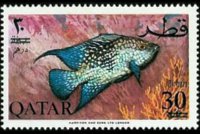Qatar 1966 - set Fish - new currency: 30 d su 30 np