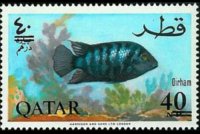 Qatar 1966 - set Fish - new currency: 40 d su 40 np