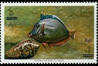 Qatar 1966 - set Fish - new currency: 4 r su 4 r