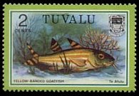 Tuvalu 1979 - set Fish: 2 c