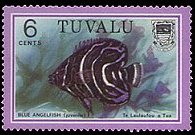 Tuvalu 1979 - set Fish: 6 c