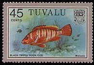 Tuvalu 1979 - set Fish: 45 c