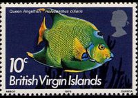 Isole Vergini britanniche 1975 - serie Pesci: 10 c