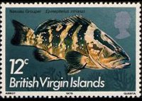 Isole Vergini britanniche 1975 - serie Pesci: 12 c