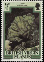 Isole Vergini britanniche 1979 - serie Vita marina: ½ c