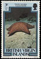Isole Vergini britanniche 1979 - serie Vita marina: 3 c