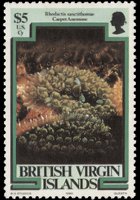 Isole Vergini britanniche 1979 - serie Vita marina: 5 $